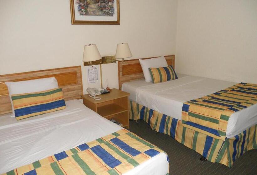 غرفة قياسية, Mediterráneo Plaza