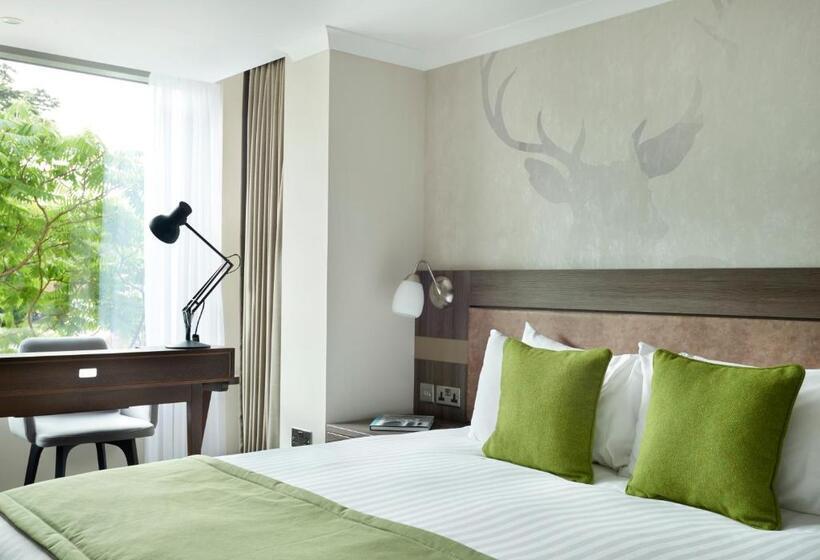 غرفة ديلوكس سرير كينج, Richmond Hill