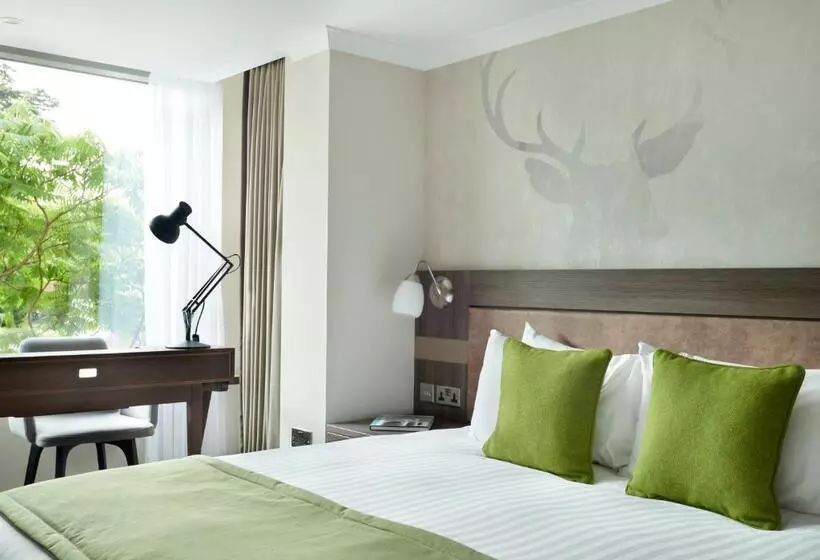 キングサイズベッドのデラックスルーム, Richmond Hill