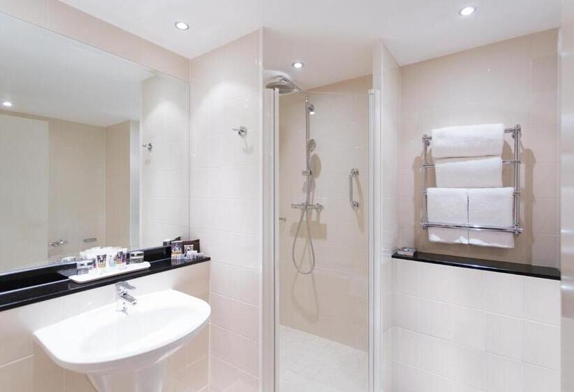 اتاق سوپریور با تخت بزرگ, Mercure Sheffield St Paul S Hotel & Spa