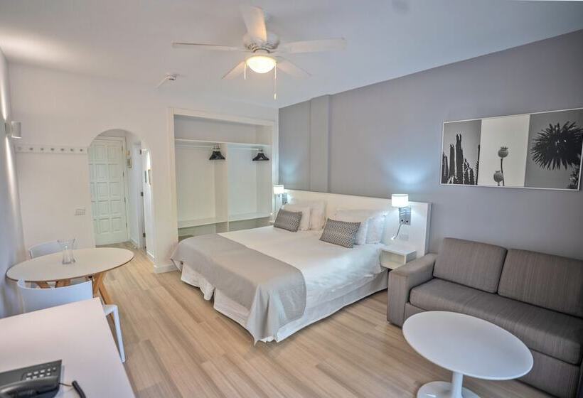 スタンダードスタジオ, Coral California