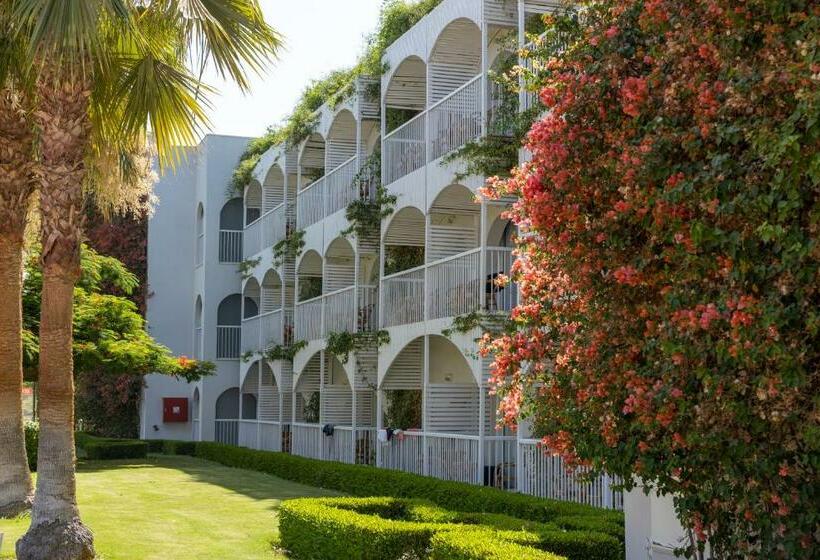 غرفة سوبيريور ثلاثية, Desert Rose Resort