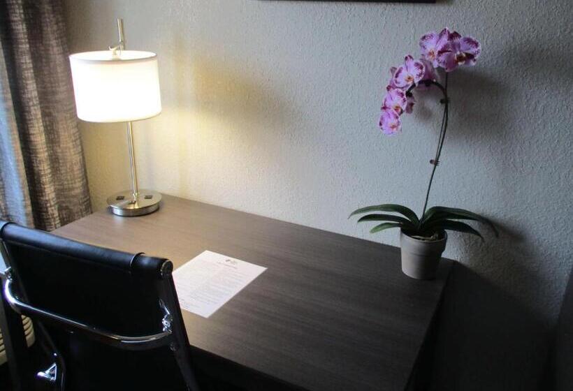 带大床的标准间, Best Western Plus North Joliet