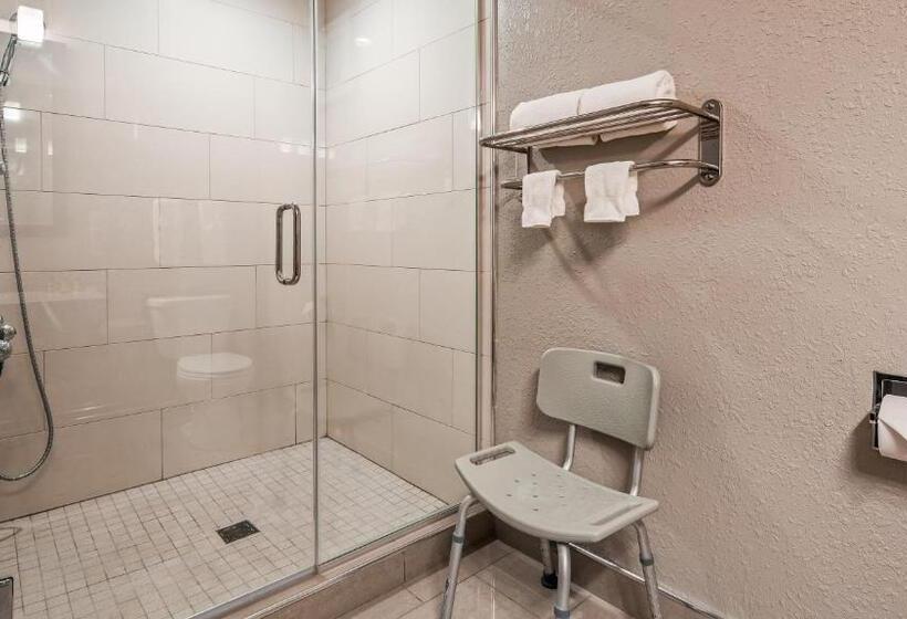 带大床的套房, Best Western Plus North Joliet