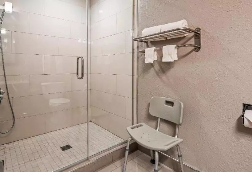 キングサイズベッドのスイートルーム, Best Western Plus North Joliet
