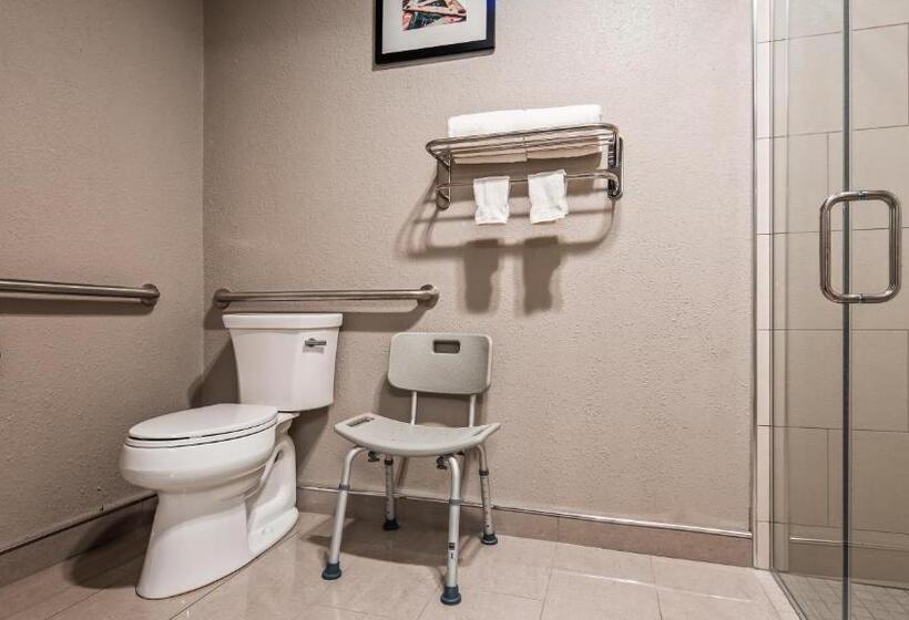 适合残疾人士使用的带超级大床的标准间, Best Western Plus North Joliet