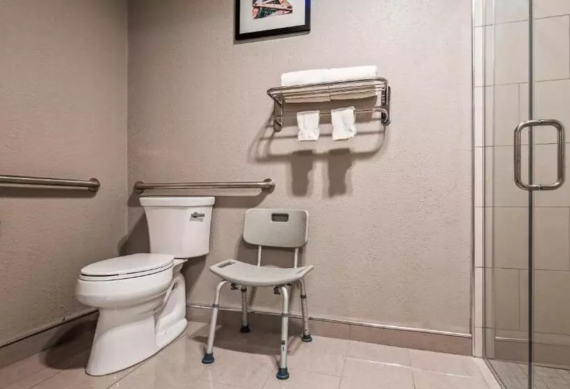 身障者適用キングサイズベッドルーム, Best Western Plus North Joliet