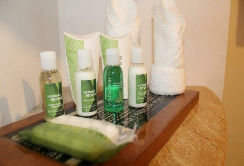 غرفة تنفيذية, Cartagena Plaza