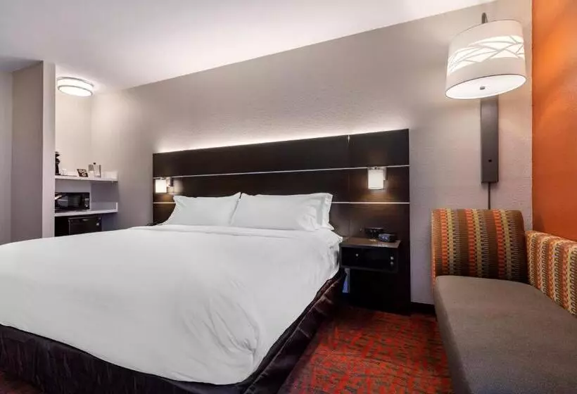 キングサイズベッドのスタンダードルーム, Holiday Inn Express Metropolis, An Ihg