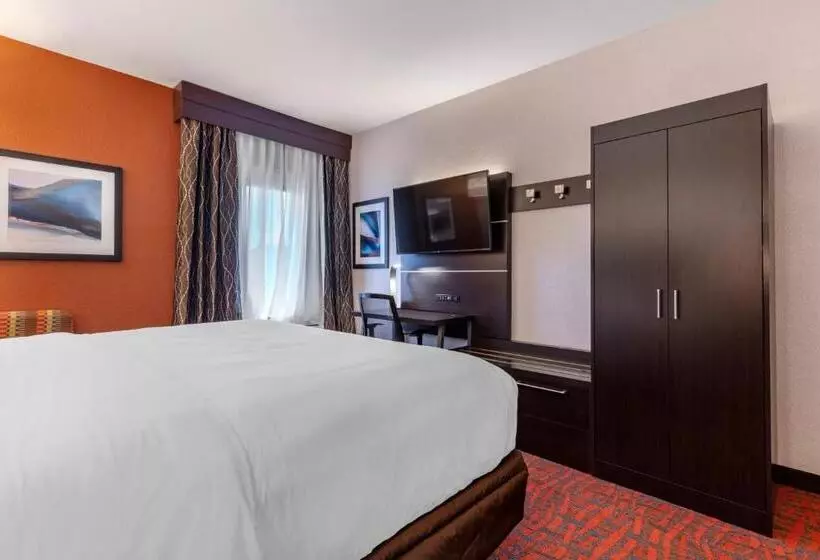 キングサイズベッドのスタンダードルーム, Holiday Inn Express Metropolis, An Ihg