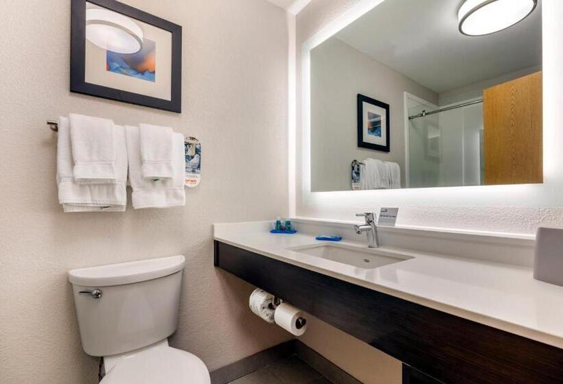 带大床的套房, Holiday Inn Express Metropolis, An Ihg