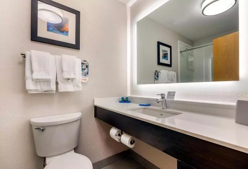 キングサイズベッドのスイートルーム, Holiday Inn Express Metropolis, An Ihg