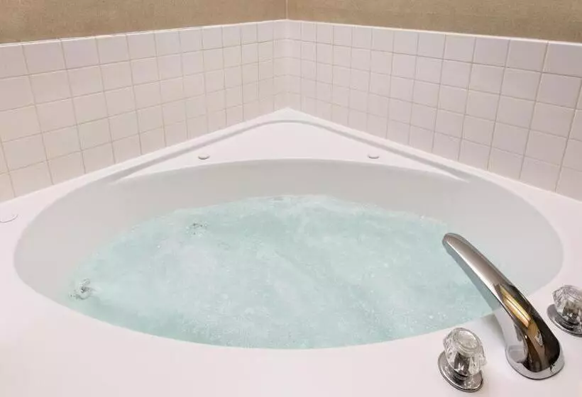 キングサイズベッドのスイートルーム, Holiday Inn Express Metropolis, An Ihg