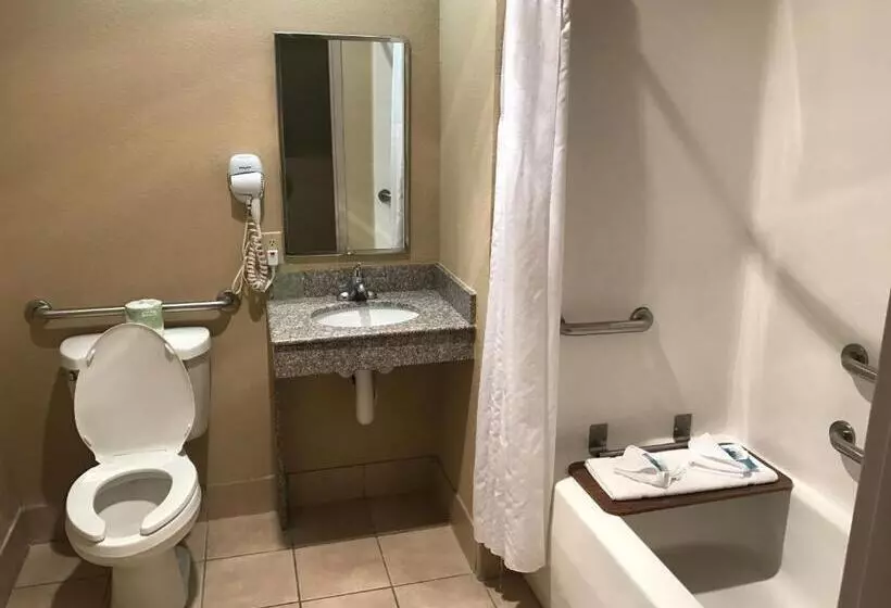 身障者適用キングサイズベッドルーム, Holiday Inn Express Metropolis, An Ihg