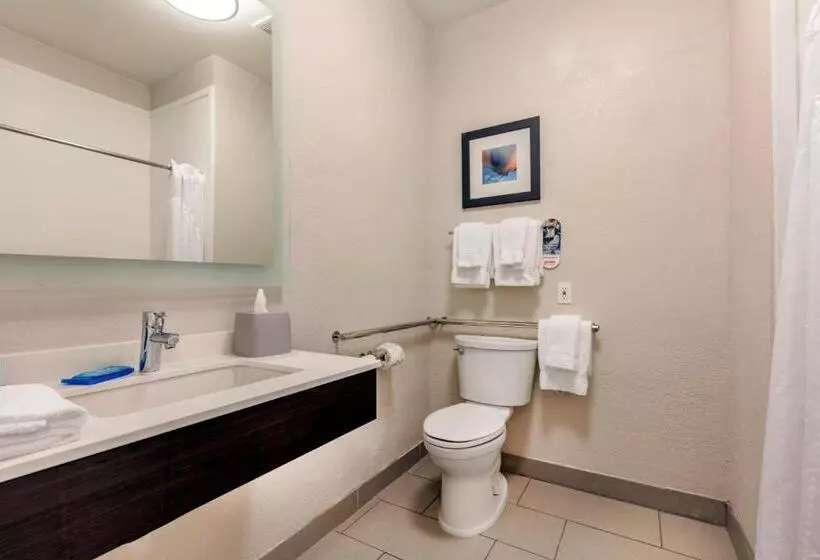身障者適用キングサイズベッドルーム, Holiday Inn Express Metropolis, An Ihg