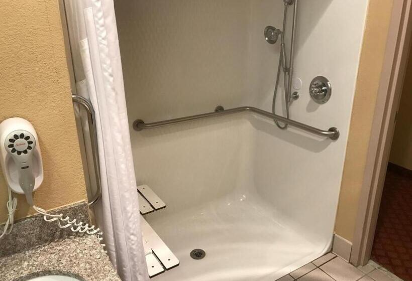 חדר סטנדרט, מיטת קינג, מותאם לאדם עם מוגבלויות, Holiday Inn Express Metropolis, An Ihg