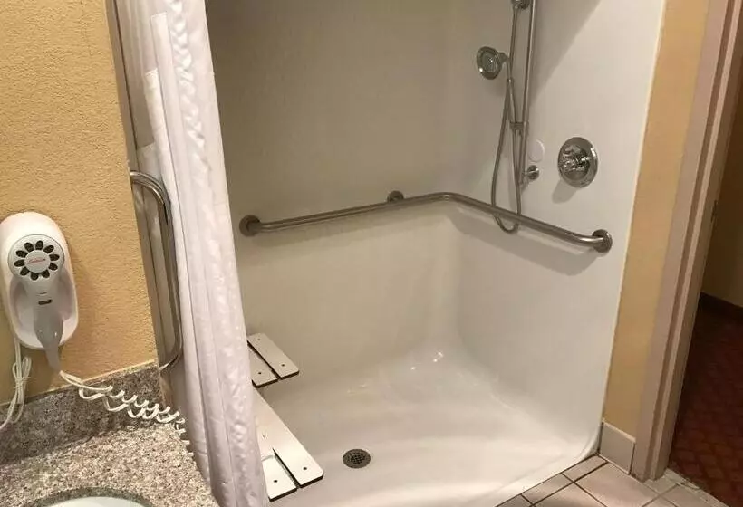 身障者適用キングサイズベッドルーム, Holiday Inn Express Metropolis, An Ihg