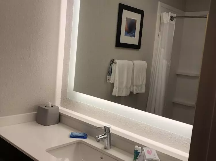 スタンダードルーム, Holiday Inn Express Metropolis, An Ihg