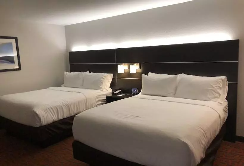 スタンダードルーム, Holiday Inn Express Metropolis, An Ihg
