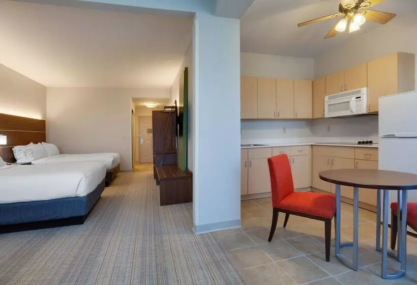 スタンダードルーム, Holiday Inn Express & Suites Orlando International Airport, An Ihg
