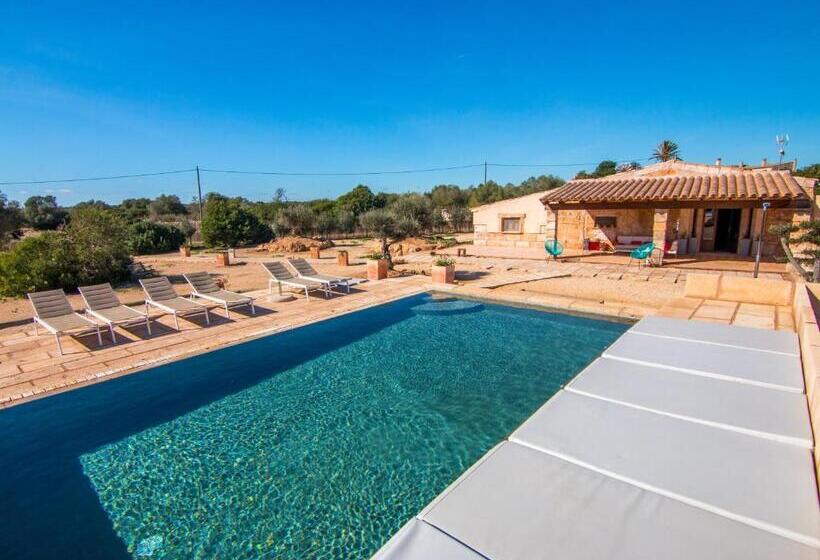 프리미엄 룸, Agroturismo Petit Hotel Son Perdiu Adults Only