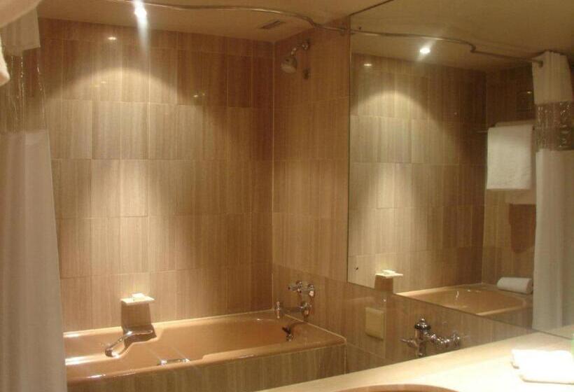 חדר סטנדרט עם מיטת קינג, Southern Sun Cape Sun