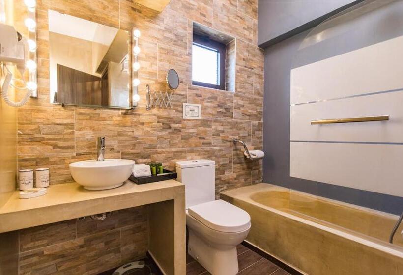 古典房间, Theatro Hotel Odysseon