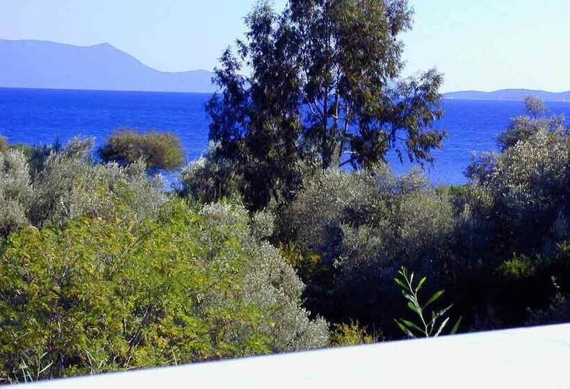 Студия Стандарт, Philippos Hotel Apartments