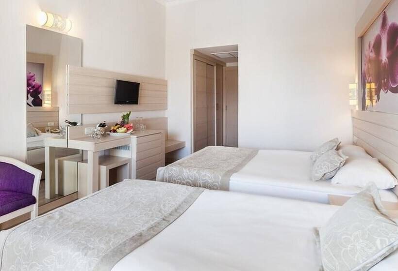 غرفة قياسية, Seaden Corolla