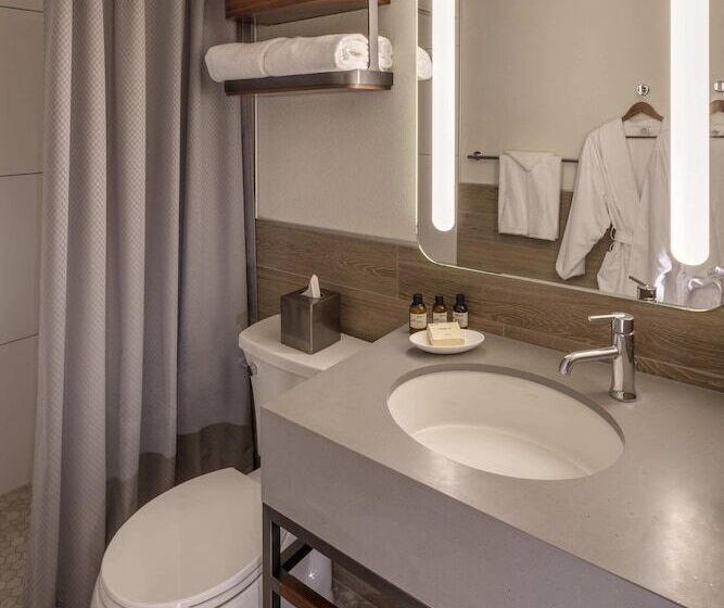 带特大床的标准间, The Wildbirch Hotel - JdV by Hyatt