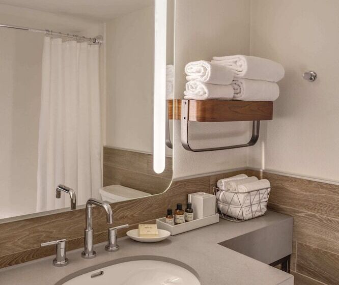 스탠다드 룸 퀸사이즈 침대, The Wildbirch Hotel - JdV by Hyatt