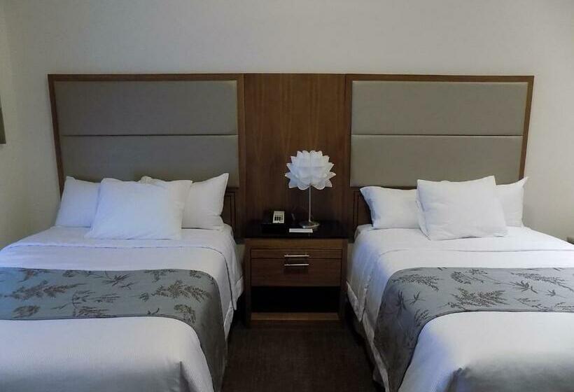 四人标准间, Americana Inn