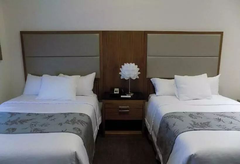 Standard Neljän Hengen Huone, Americana Inn