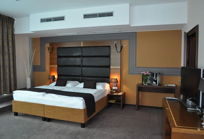 اتاق کلاس بیزنس, Art Hotel William