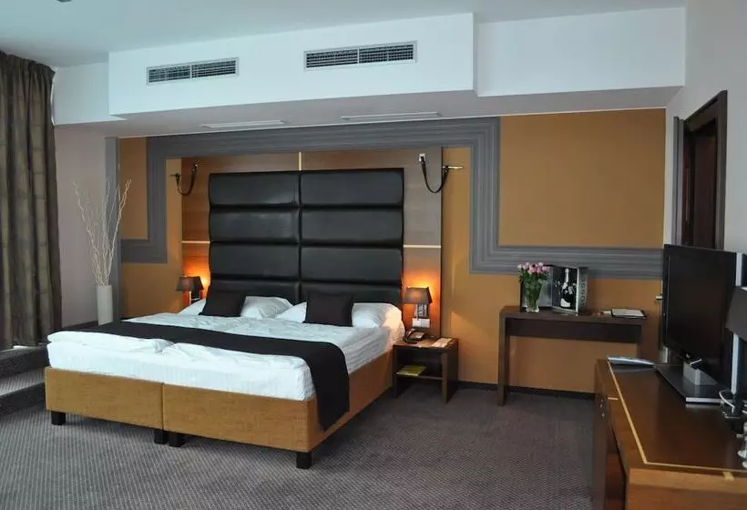 اتاق کلاس بیزنس, Art Hotel William