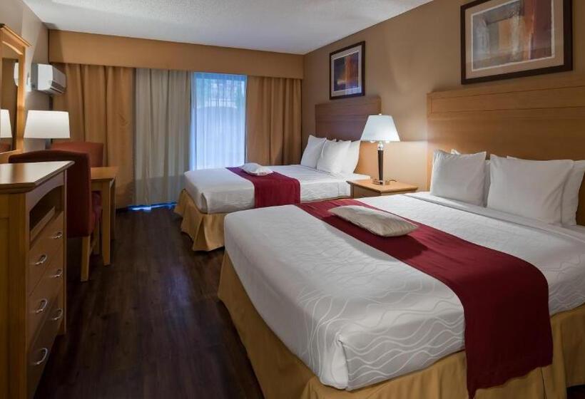 スタンダードルーム, Best Western Plus Palm Desert Resort