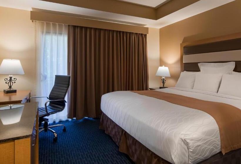Люкс Кровать Кинг, Best Western Plus Palm Desert Resort