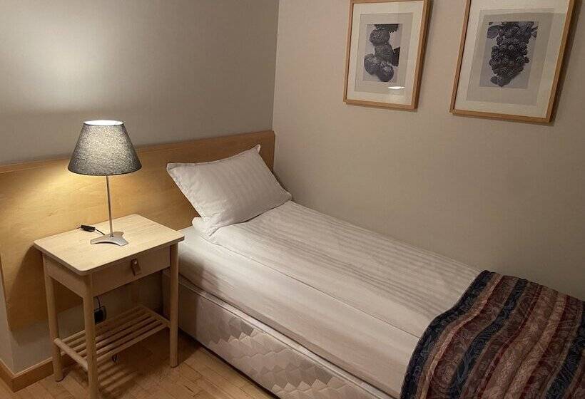 اتاق استاندارد یک نفره, Dalahótel