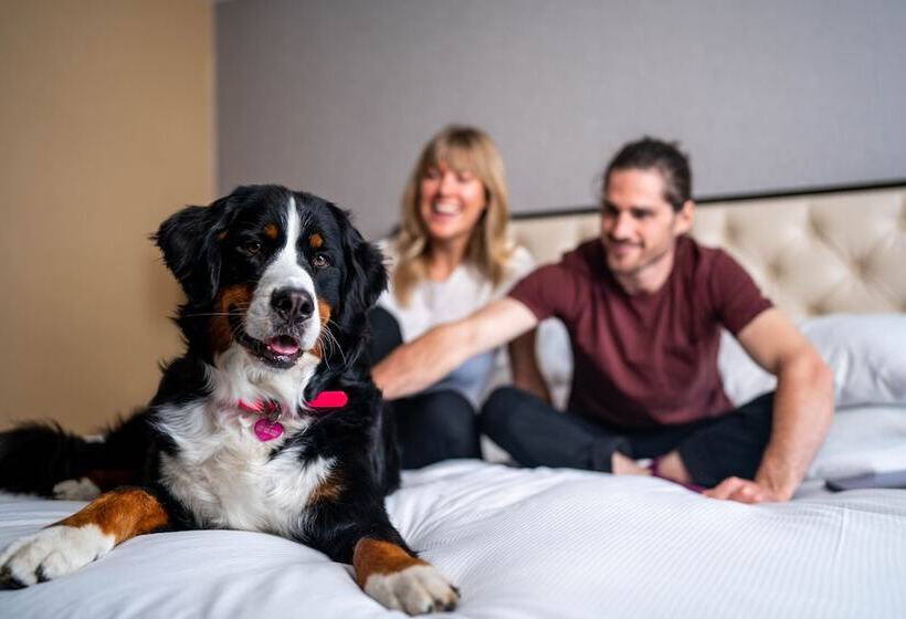 ２ダブルベッドのスタンダードルーム, Hilton Whistler Resort & Spa