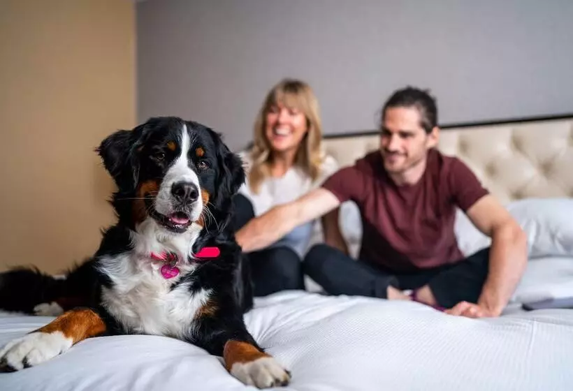 اتاق استاندارد با 2 تخت دوبل, Hilton Whistler Resort & Spa