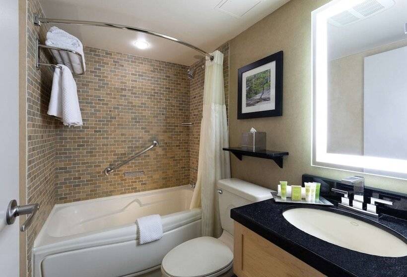 スイート, Hilton Whistler Resort & Spa