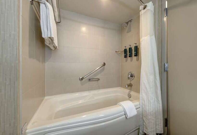 キングサイドベッドのスタンダードワンルーム, Hilton Whistler Resort & Spa