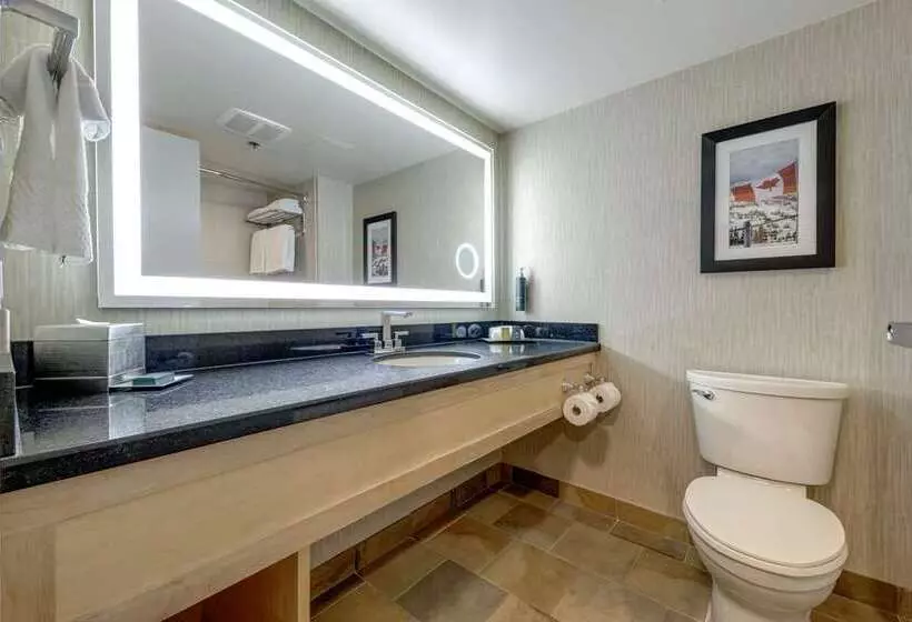 استودیو استاندارد با تخت کینگ, Hilton Whistler Resort & Spa