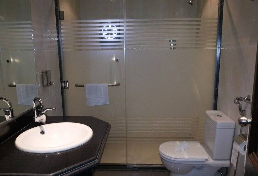 اتاق استاندارد یک نفره, Swiss Inn Hotel Mohandeseen