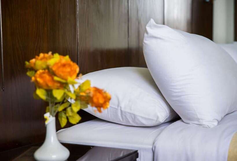 اتاق استاندارد یک نفره, Swiss Inn Hotel Mohandeseen