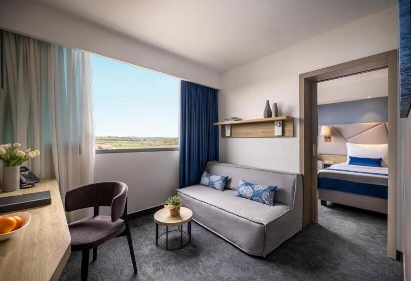 带园景的小型套房, Valamar Diamant