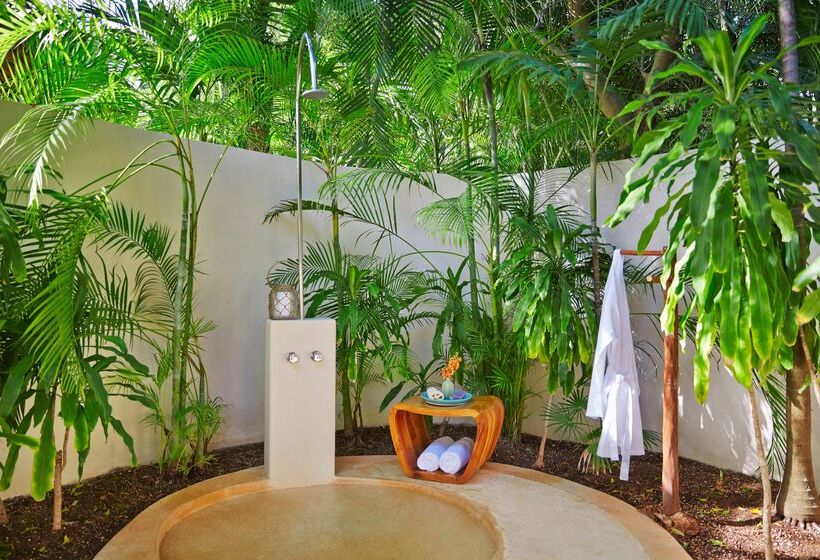 带1个卧室的豪华别墅, Viceroy Riviera Maya, A Luxury Villa Resort