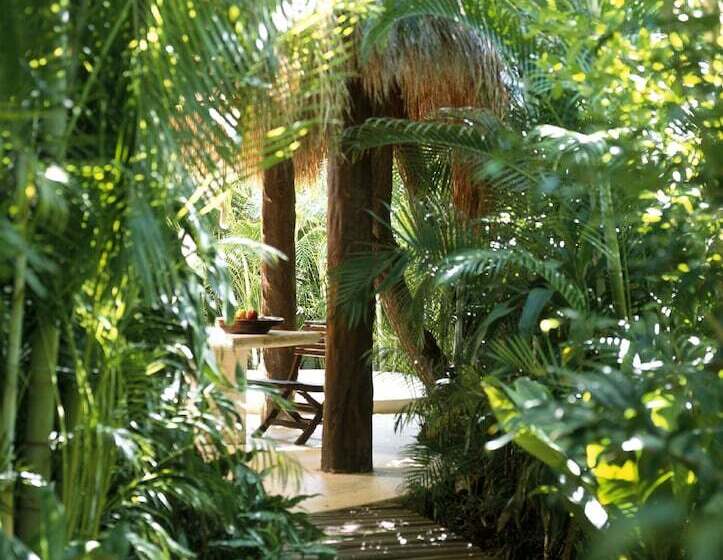 带1个卧室的豪华别墅, Viceroy Riviera Maya, A Luxury Villa Resort