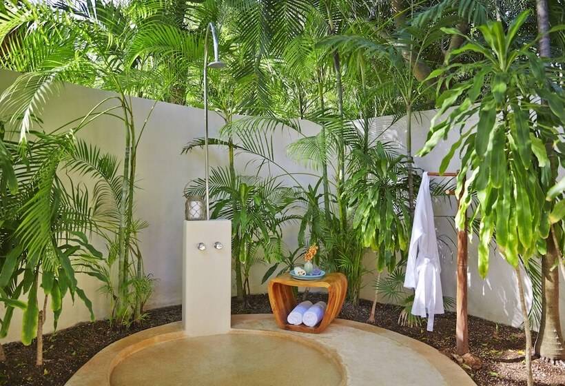 带1个卧室的豪华别墅, Viceroy Riviera Maya, A Luxury Villa Resort