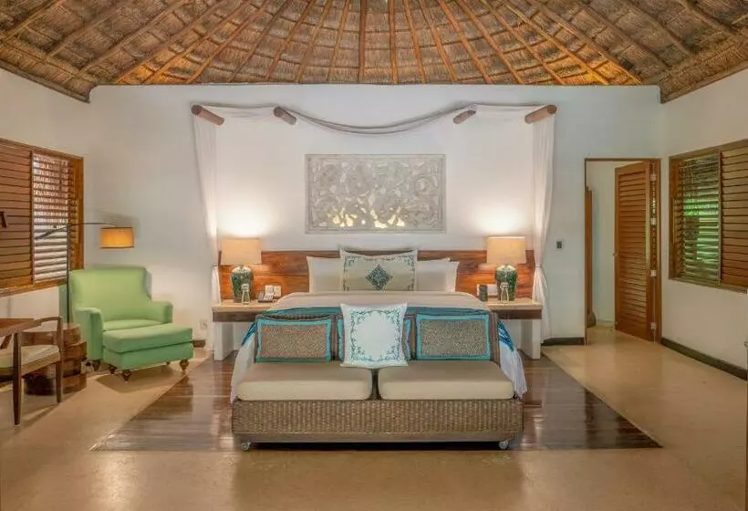 ویلای لوکس 1 خوابه, Viceroy Riviera Maya, A Luxury Villa Resort